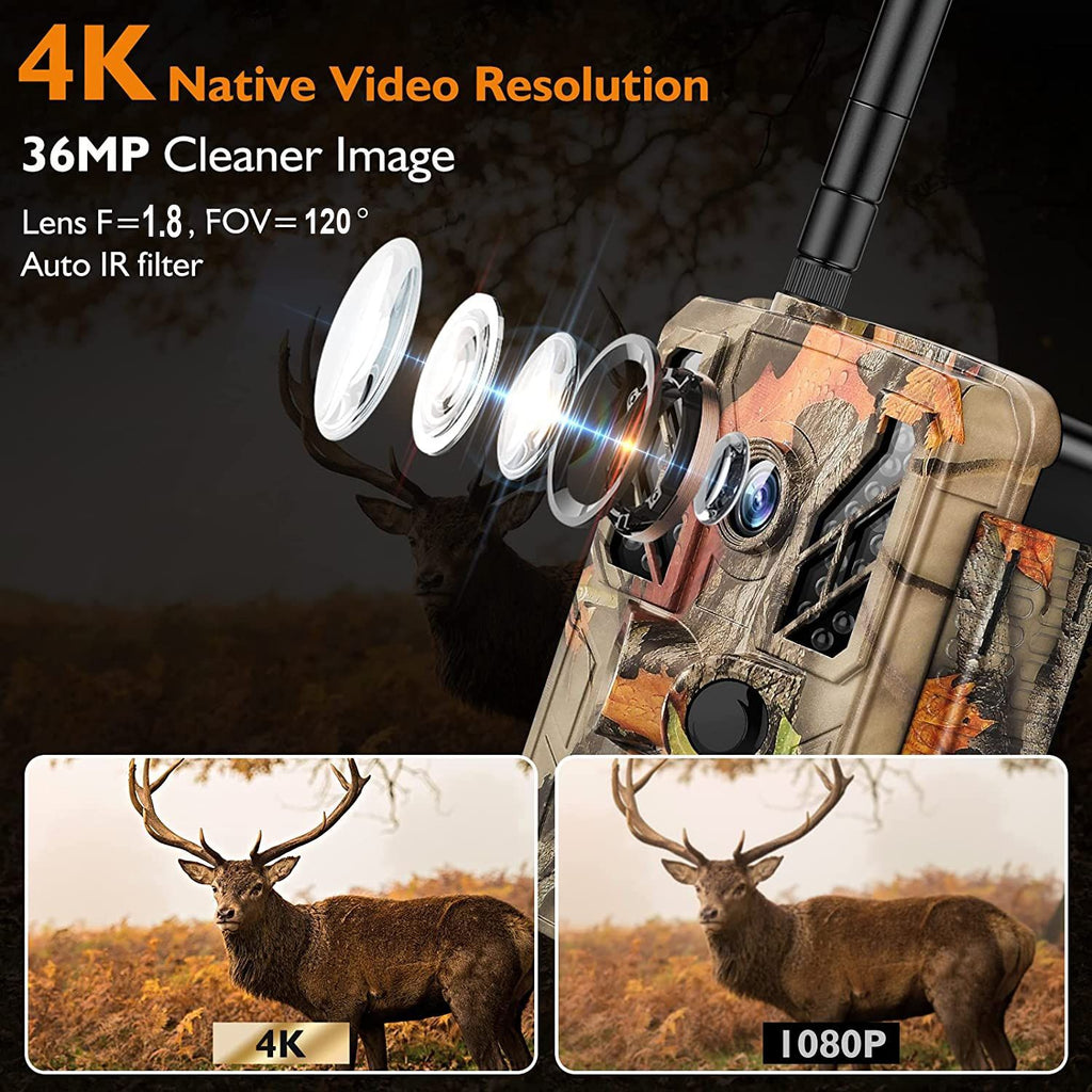 4K 36MP WiFi Infrared Camera for Outdoor Animal Monitoring