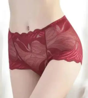 Ladies Fashion Sexy Lace Underwear JahSonFire